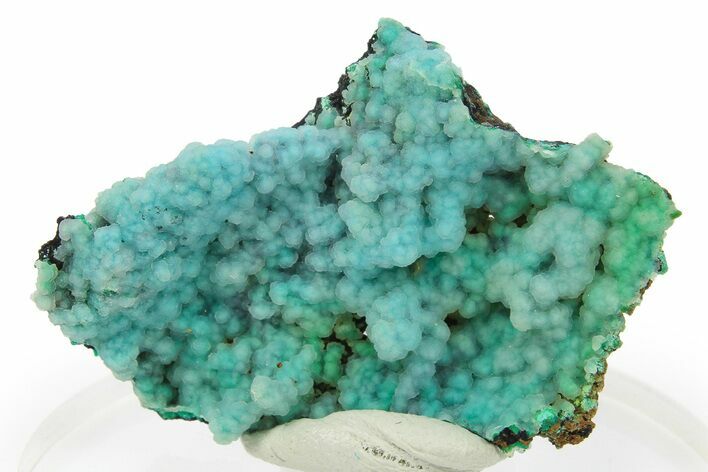 Bright Blue Chrysocolla on Limonite - Namibia #295924